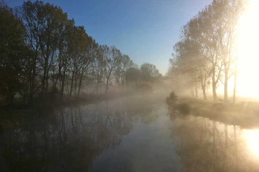 Paysage de Saintonge